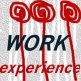 Work Experience